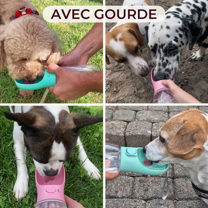 Gourde pour Animaux