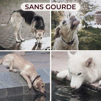 Gourde pour Animaux